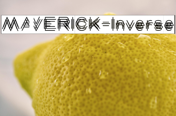 MAVERICK-Inverse Example 1