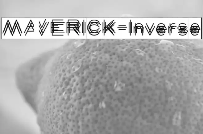 MAVERICK-Inverse Example 1