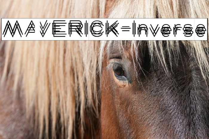 MAVERICK-Inverse Example 2