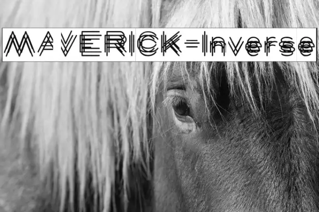 MAVERICK-Inverse Example 2