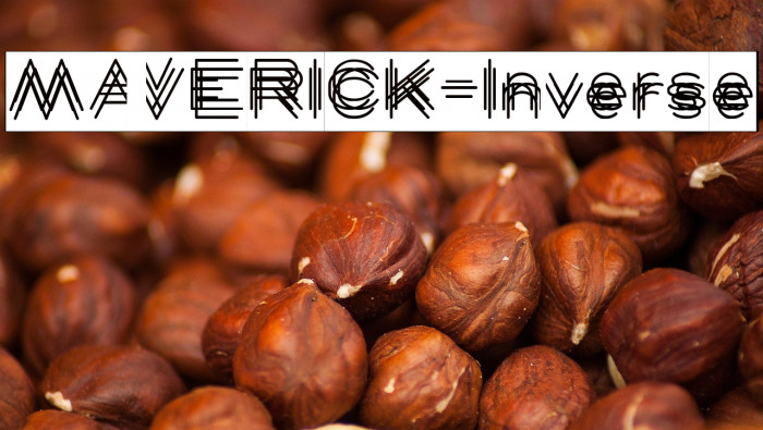 MAVERICK-Inverse Example 3