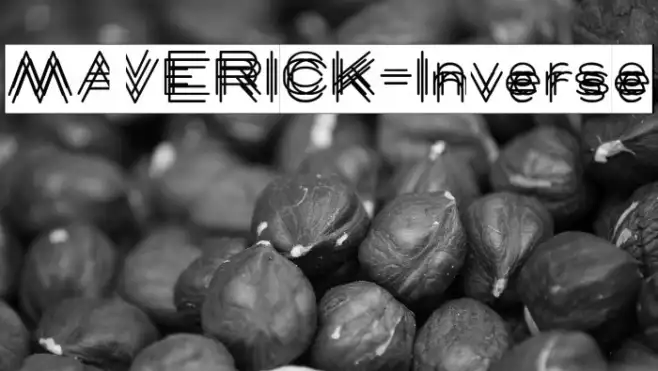 MAVERICK-Inverse Example 3