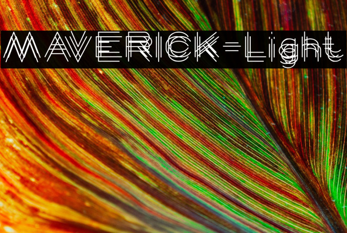 MAVERICK-Light Example 1