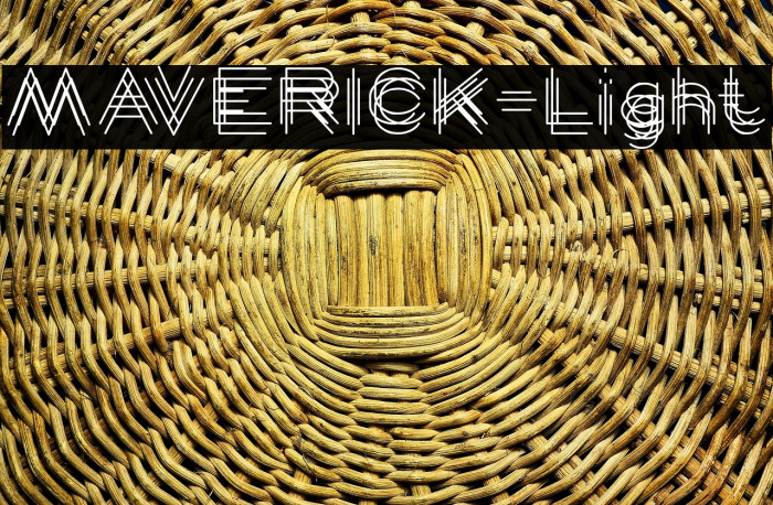 MAVERICK-Light Example 3