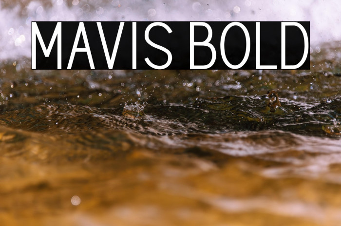 MAVIS Bold Example 3
