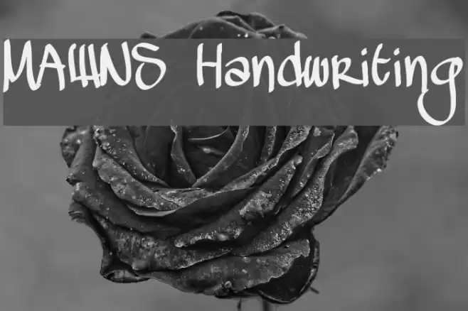 MAWNS Handwriting Font examples
