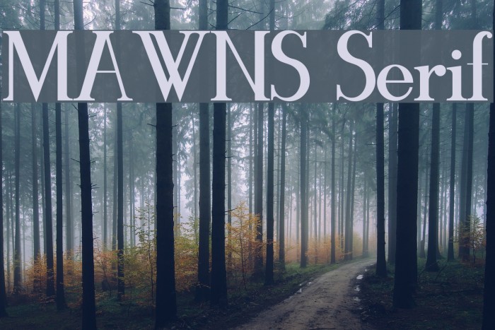 MAWNS Serif Example 1