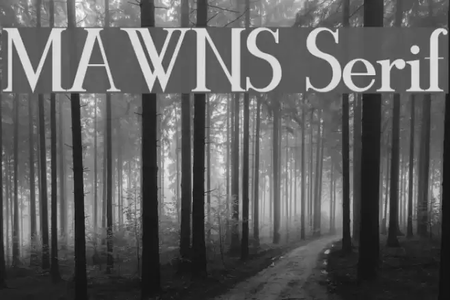 MAWNS Serif Font examples