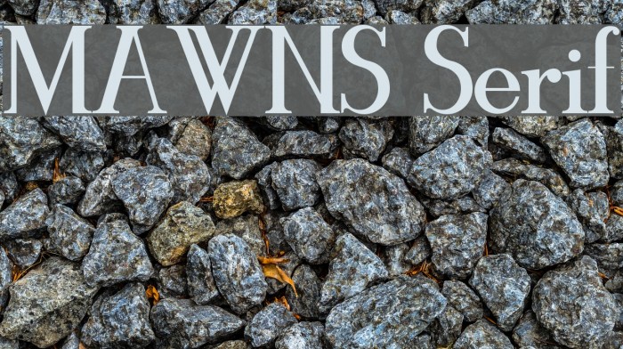 MAWNS Serif Example 3
