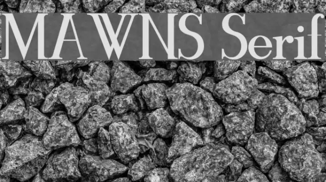 MAWNS Serif Font examples