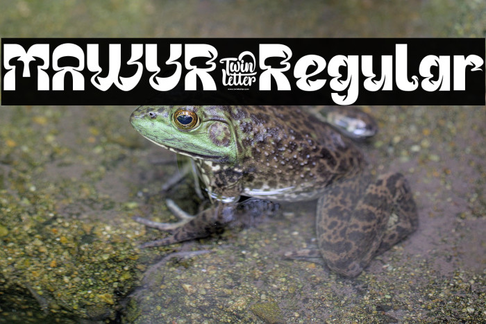 MAWUR-Regular Example 2