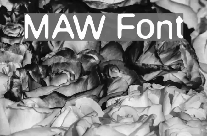 MAW Шрифта examples