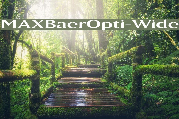 MAXBaerOpti-Wide Font examples