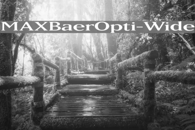 MAXBaerOpti-Wide Example 1