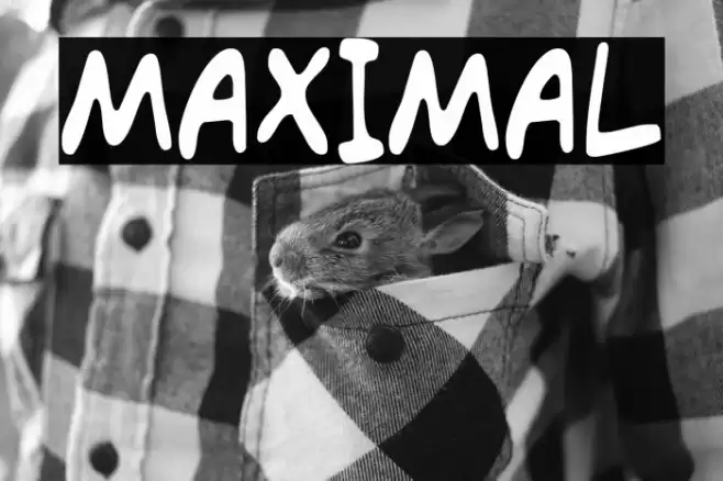 MAXIMAL Schriftart examples