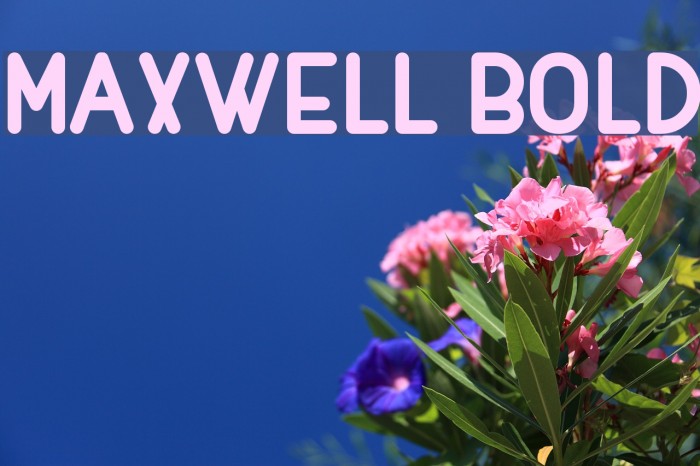 MAXWELL BOLD Font examples
