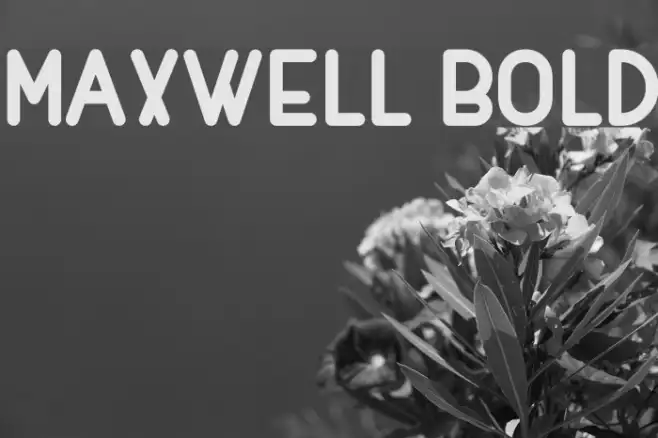 MAXWELL BOLD Example 1