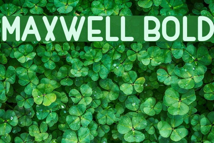 MAXWELL BOLD Font examples