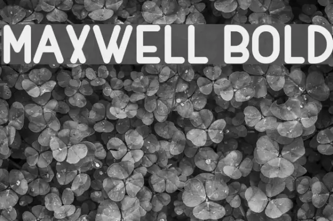 MAXWELL BOLD Example 2