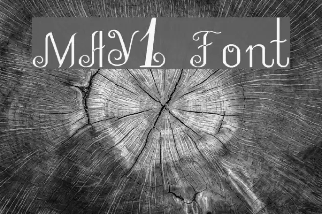 MAY1 Font examples