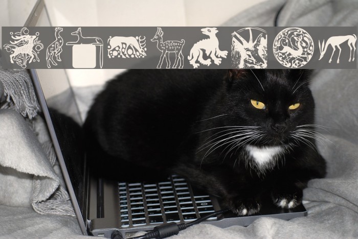 MAnimalsK Font examples