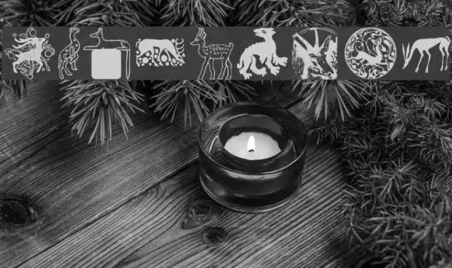 MAnimalsK Example 2