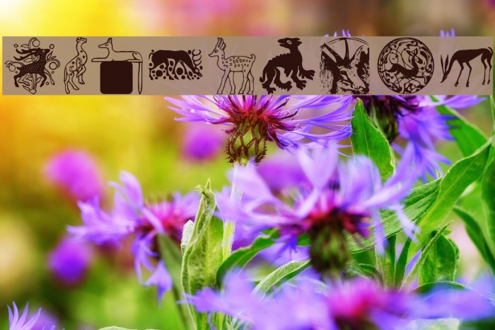 MAnimalsK Font examples