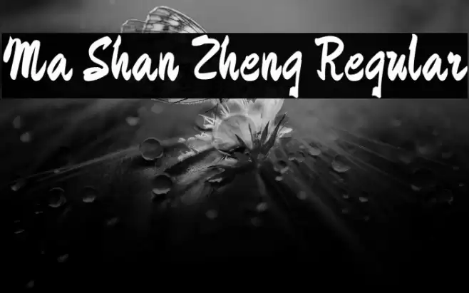 Ma Shan Zheng Regular Font examples