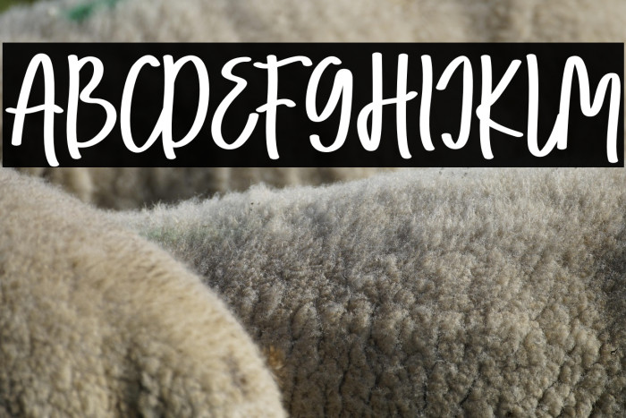 MaLorenaFREE Example 3