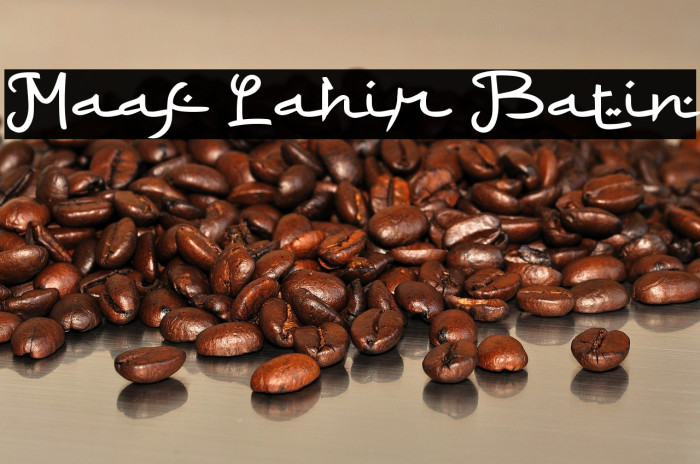 Maaf Lahir Batin Example 1