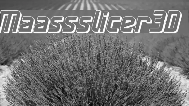 Maassslicer3D Font examples