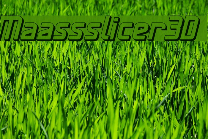 Maassslicer3D Font examples