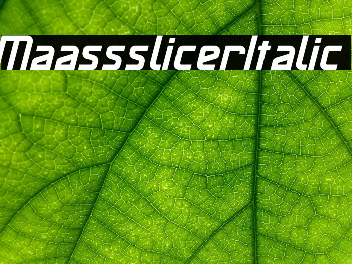 MaassslicerItalic Font examples