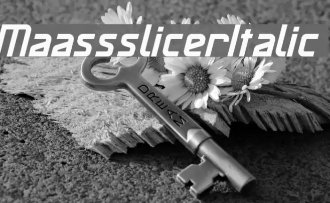 MaassslicerItalic Font examples