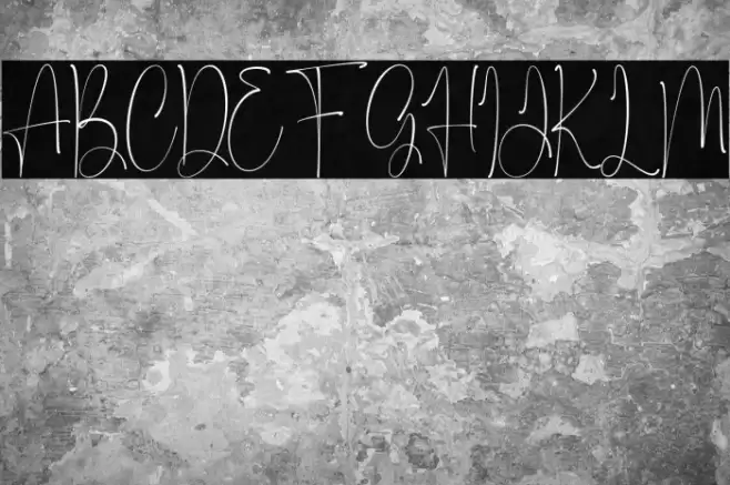 Maastricht フォント examples