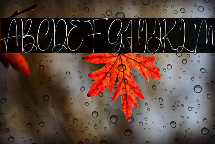 Maastricht Example 2