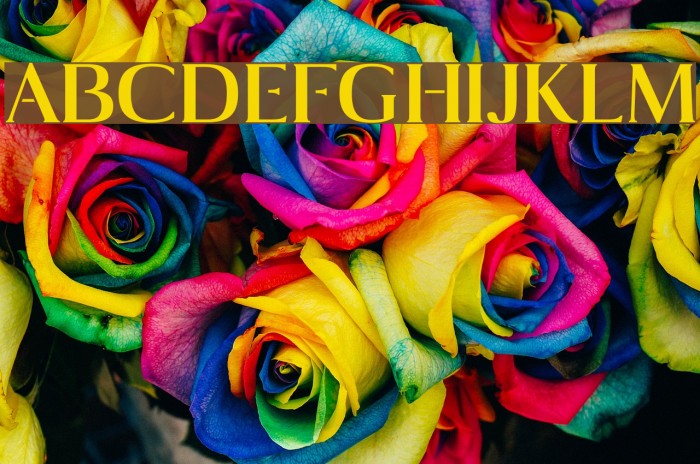 Maaz Bold   Example 2