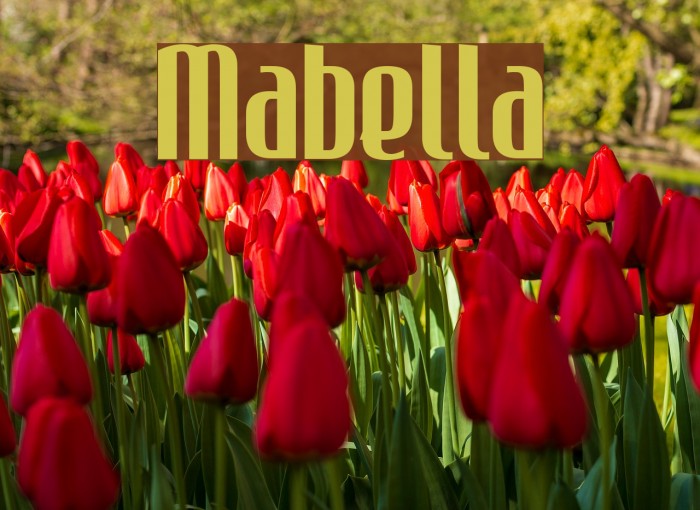 Mabella Шрифта examples