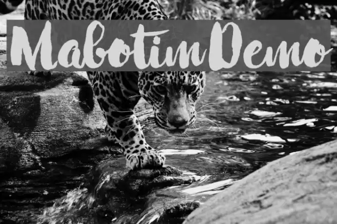 MabotimDemo Font examples