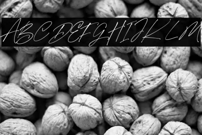 Mabrick Signature Regular Font examples