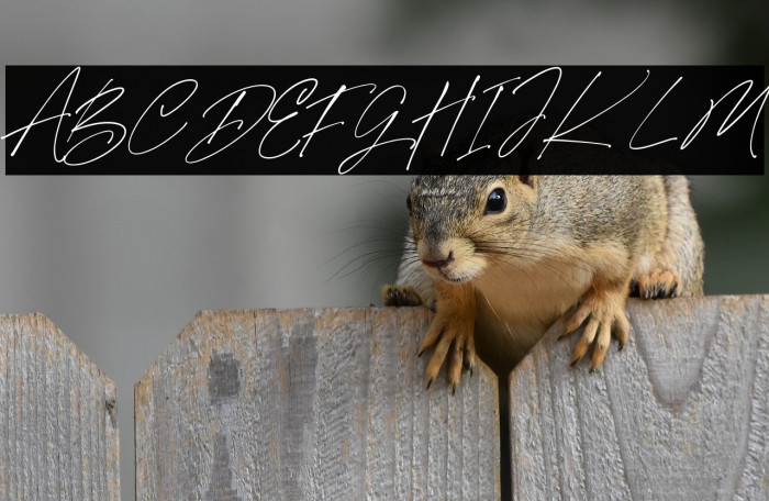 Mabrick Signature Regular Example 2