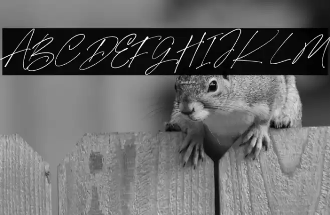 Mabrick Signature Regular Font examples