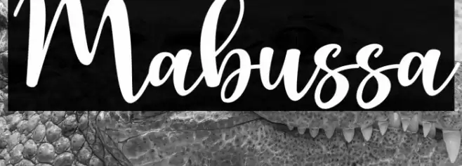 Mabussa Font examples