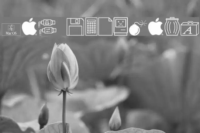Mac Dingbats फ़ॉन्ट examples