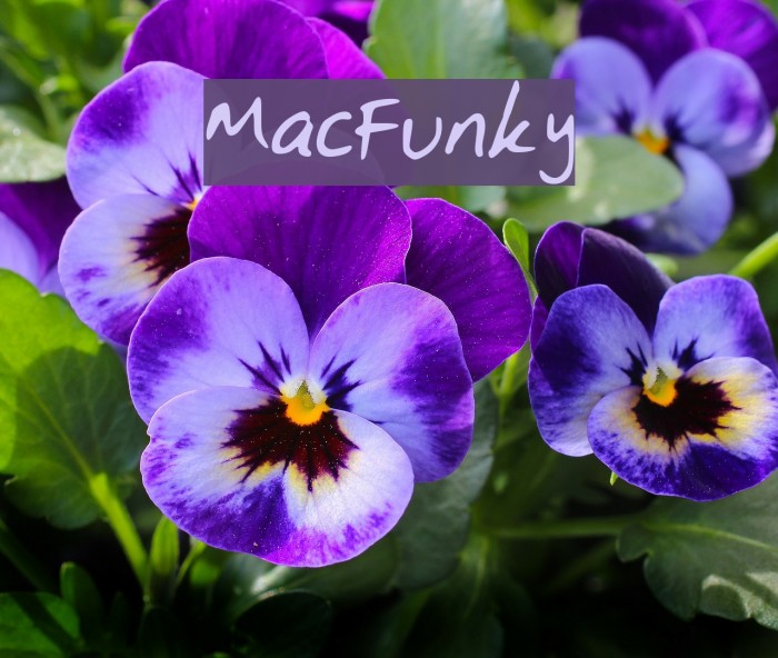 MacFunky Example 1