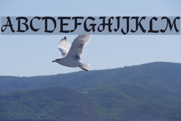 MacHumaine Regular Font examples