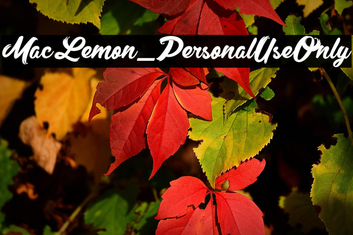 MacLemon_PersonalUseOnly Example 1