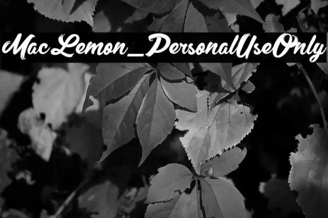 MacLemon_PersonalUseOnly Example 1