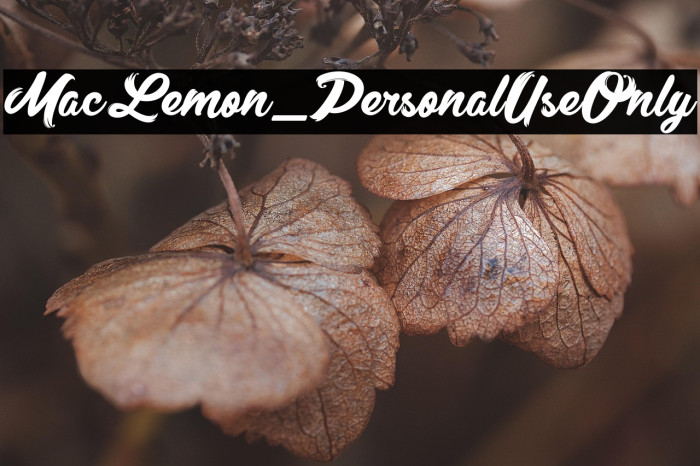 MacLemon_PersonalUseOnly Example 2