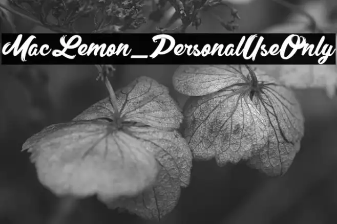 MacLemon_PersonalUseOnly Example 2